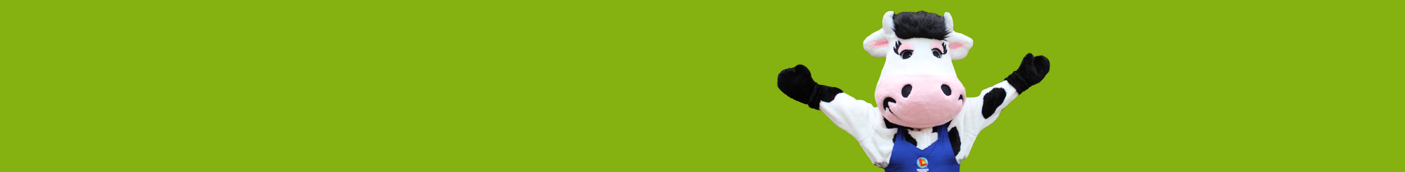 Wisconsin Lottery Moola black and white cow mascot wearing blue dress with lottery logo