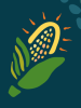 Sun Prairie Sweet Corn Festival
